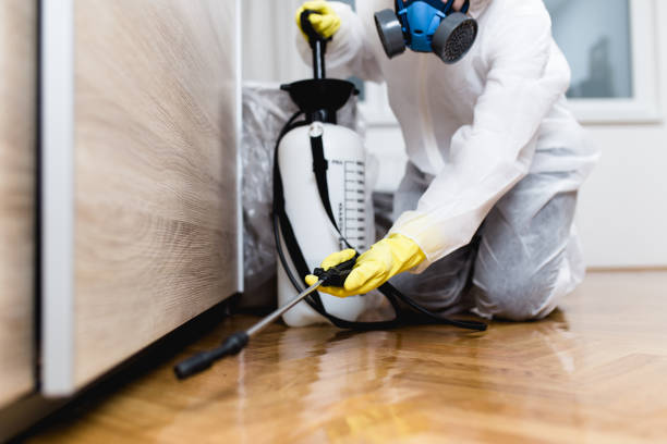 Flea Control Services in Selma, NC